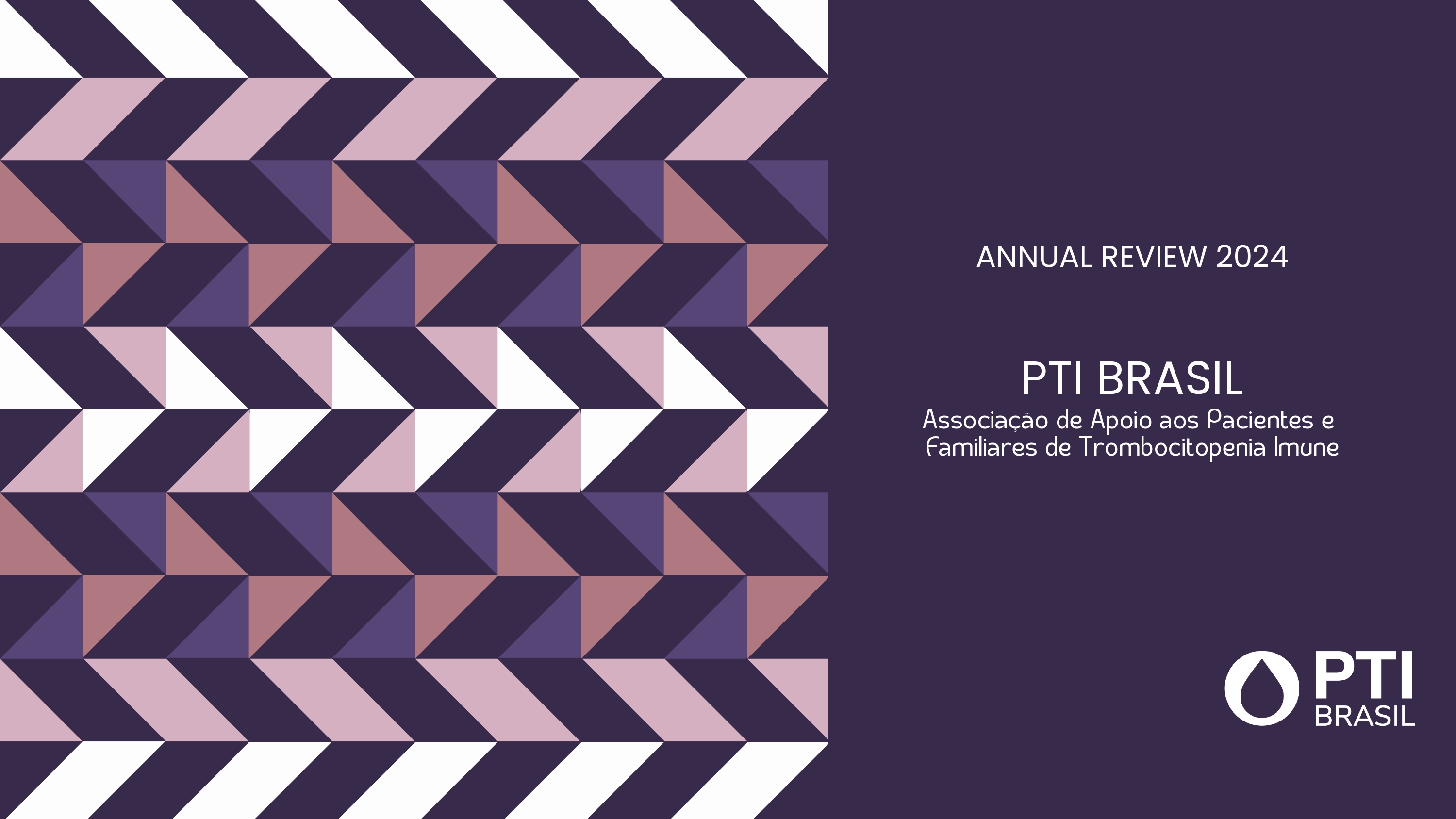 PTI BRASIL 2024 REVIEW_page-0001.jpg
