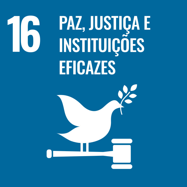 SDG-16.jpg