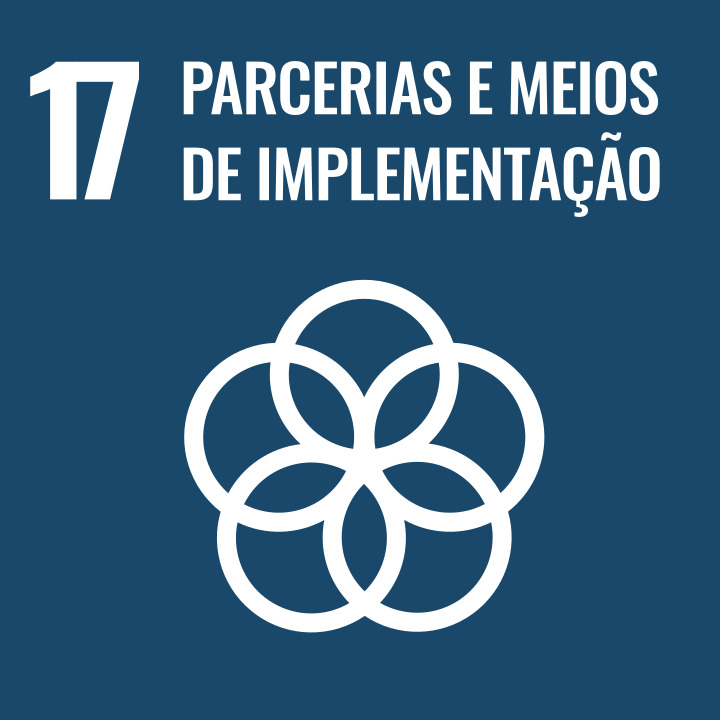 SDG-17.jpg